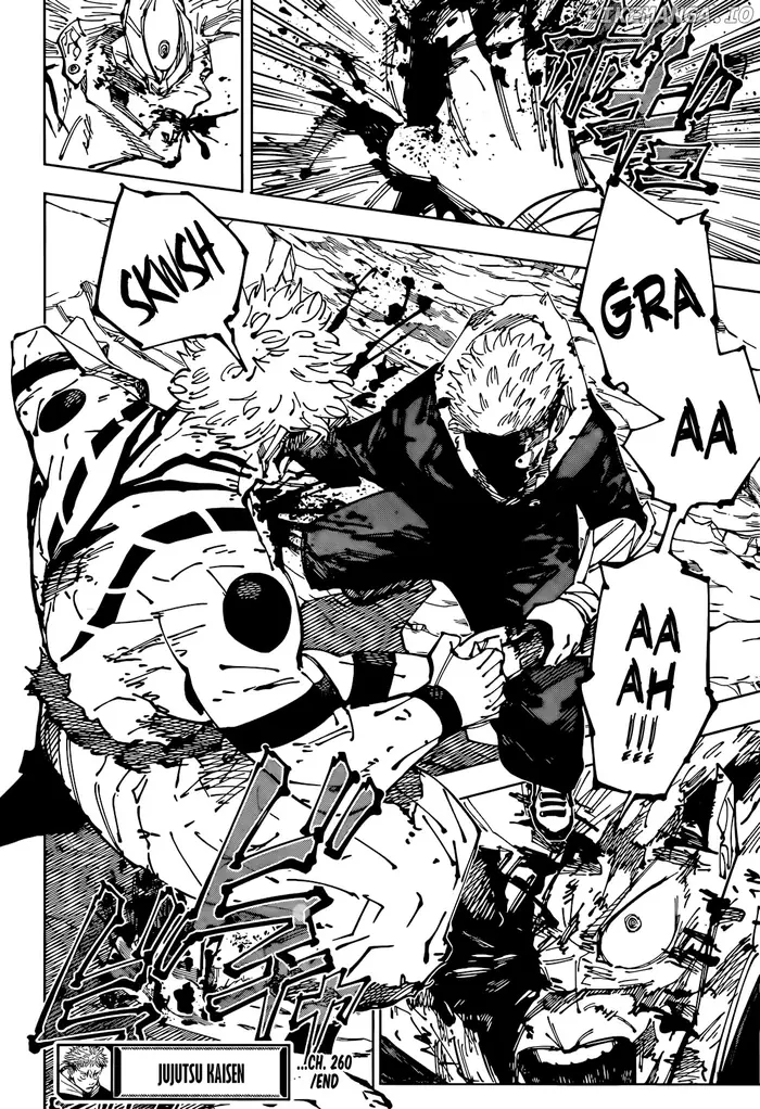 Jujutsu Kaisen Chapter 260 image 17_optimized